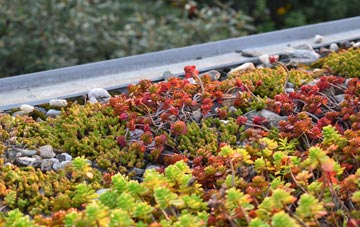 the cost of Powlers Piece green roof installation