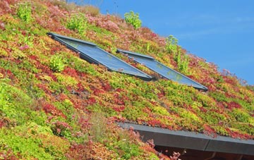 Powlers Piece living roof systems